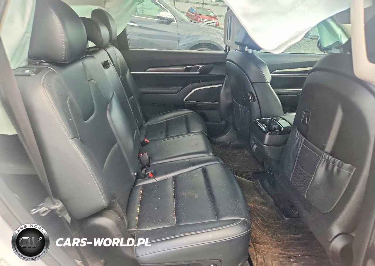 2020 Kia Telluride Lx VIN:5XYP2DHC9LG011009 - 11