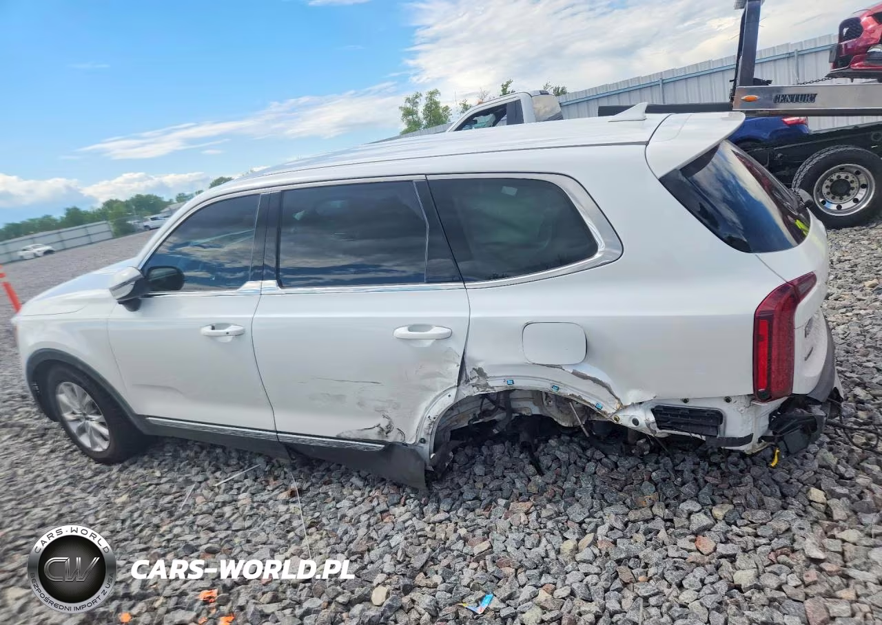 2020 Kia Telluride Lx VIN:5XYP2DHC9LG011009 - 2