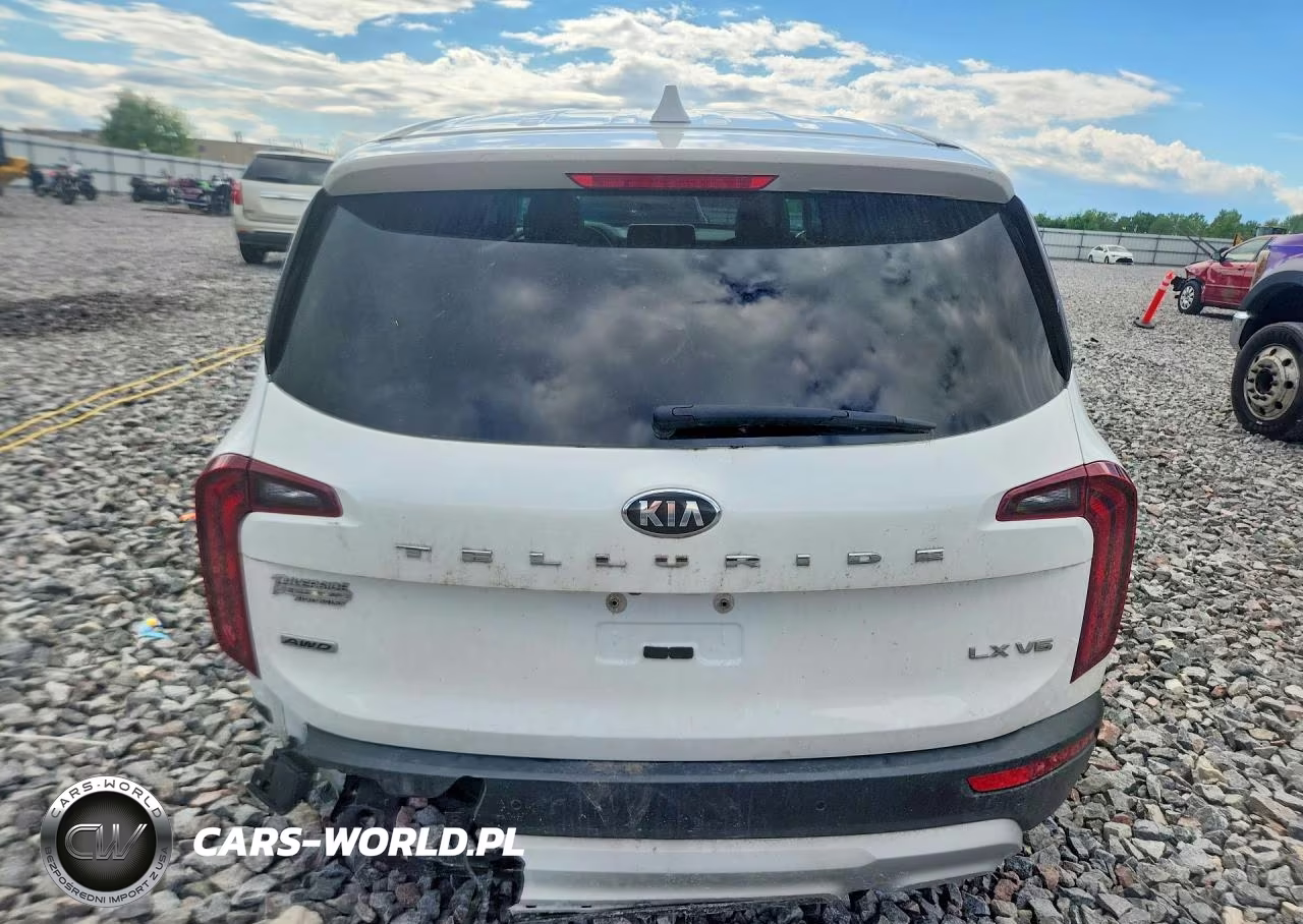 2020 Kia Telluride Lx VIN:5XYP2DHC9LG011009 - 6