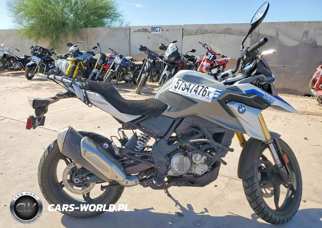 2019 BMW G310 Gs