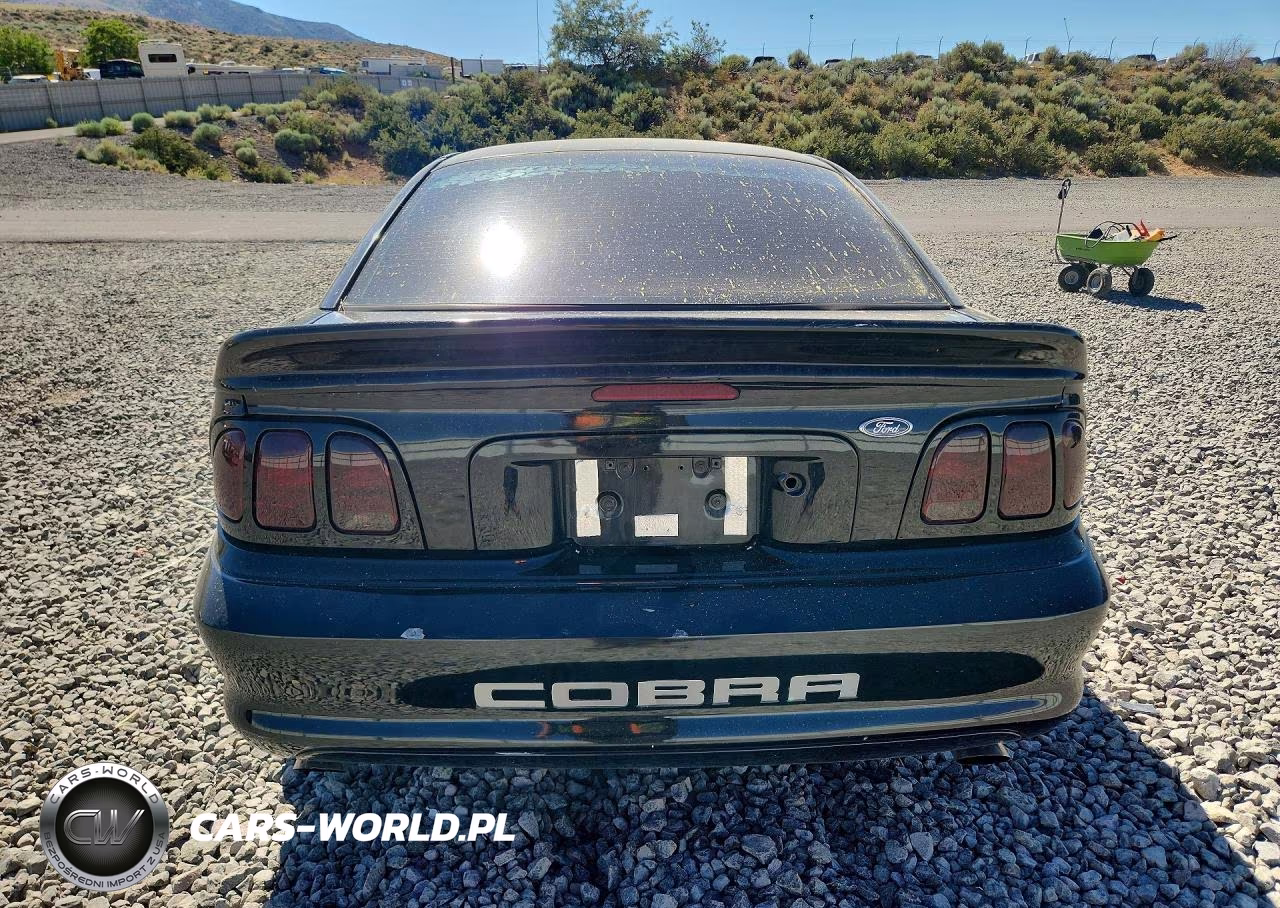 1994 Ford Mustang Cobra VIN:1FALP42D6RF204558 - 6