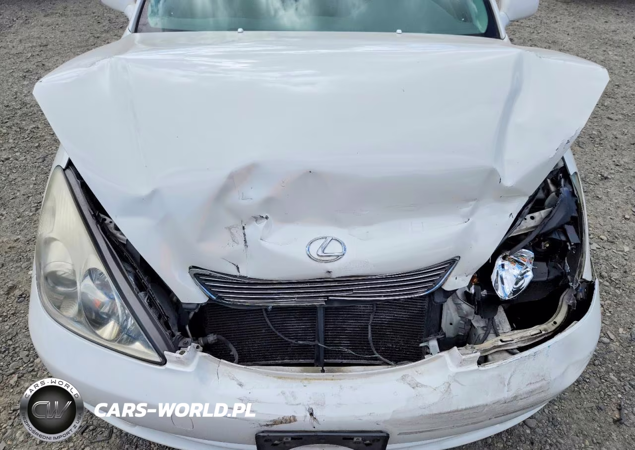 2006 Lexus Es 330 VIN:JTHBA30G565171440 - 11