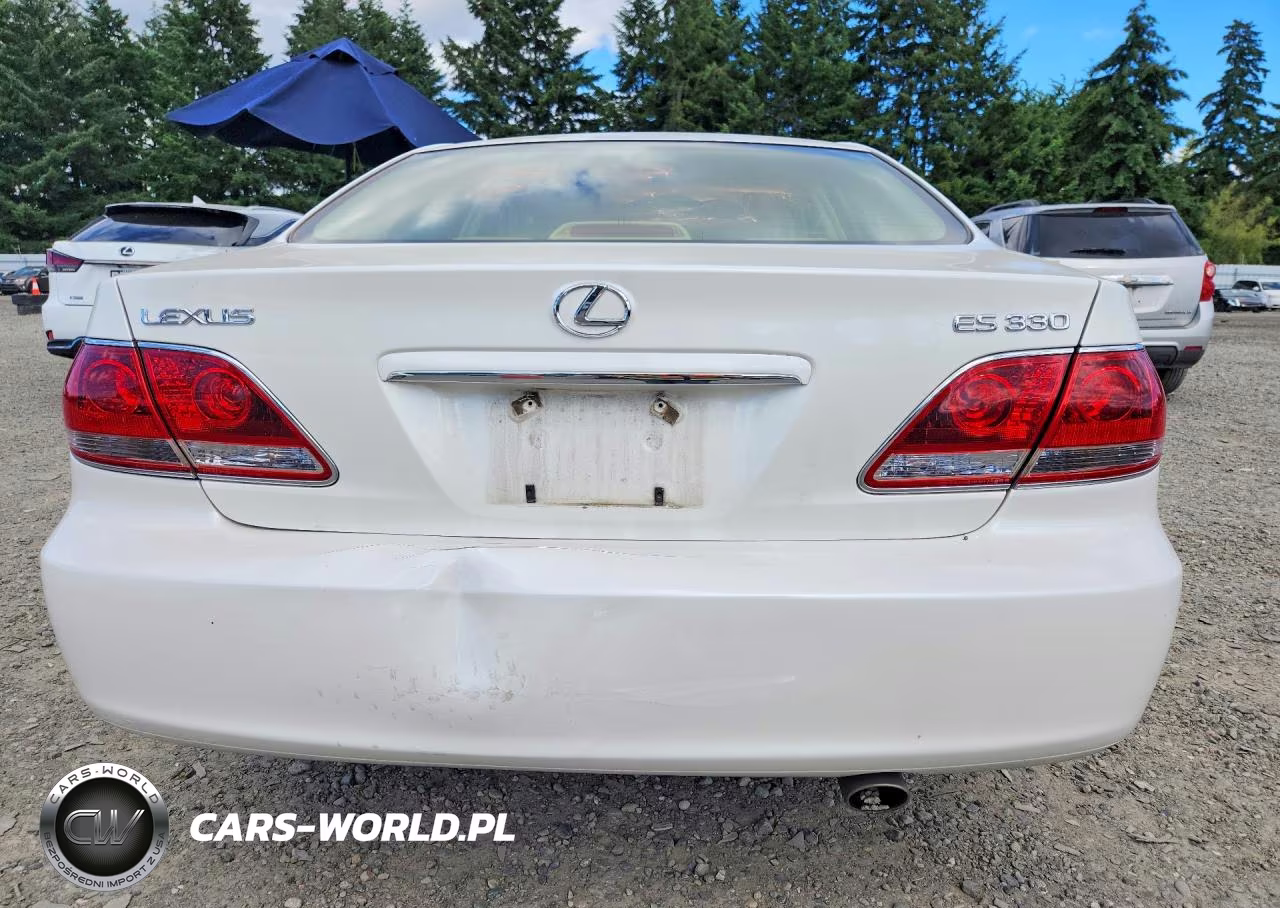 2006 Lexus Es 330 VIN:JTHBA30G565171440 - 6