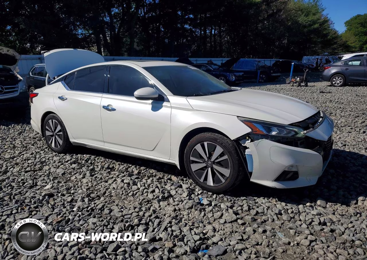 2019 Nissan Altima Sv VIN:1N4BL4DV9KC169423 - 4