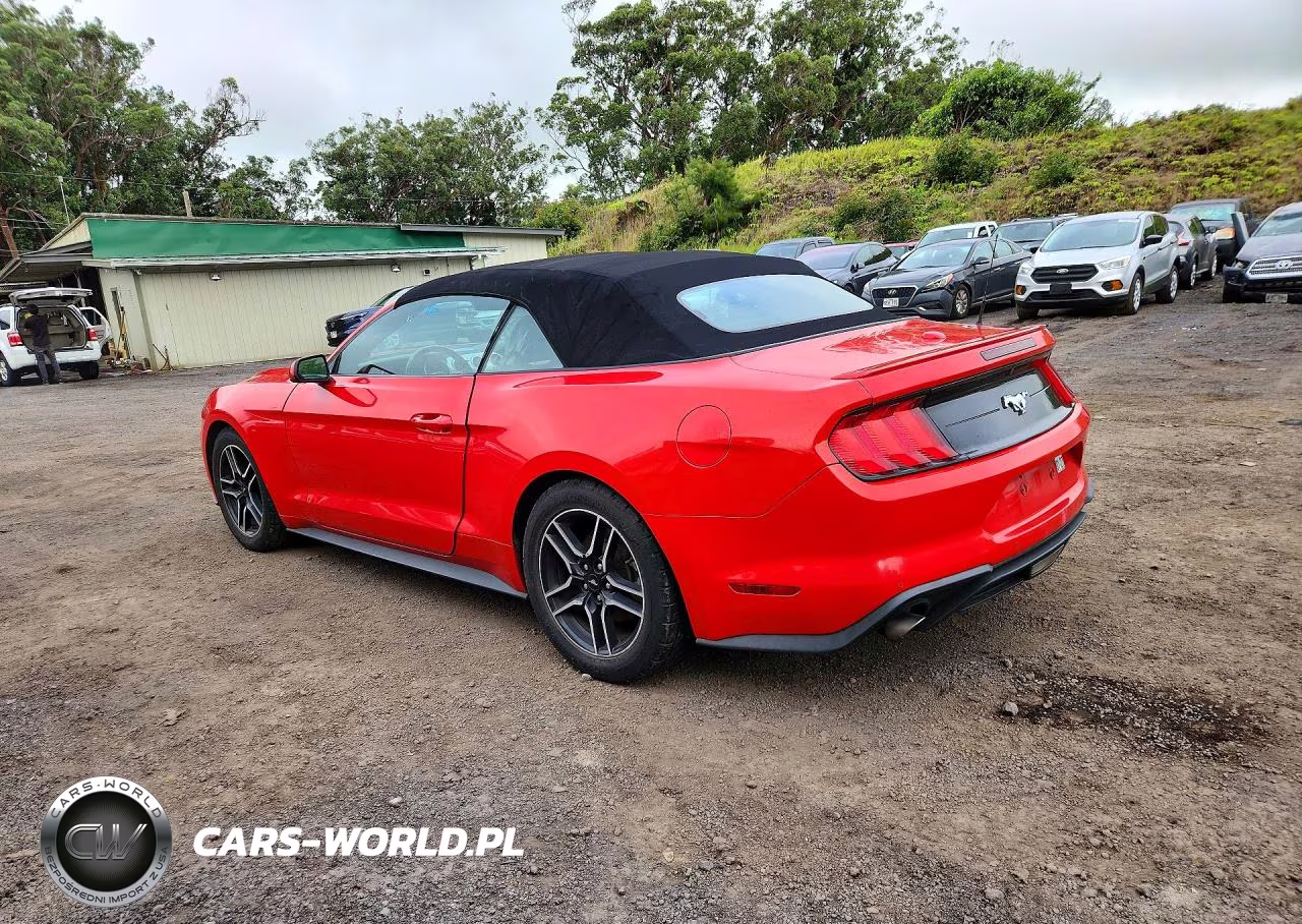 2023 Ford Mustang VIN:1FATP8UH7P5102440 - 2