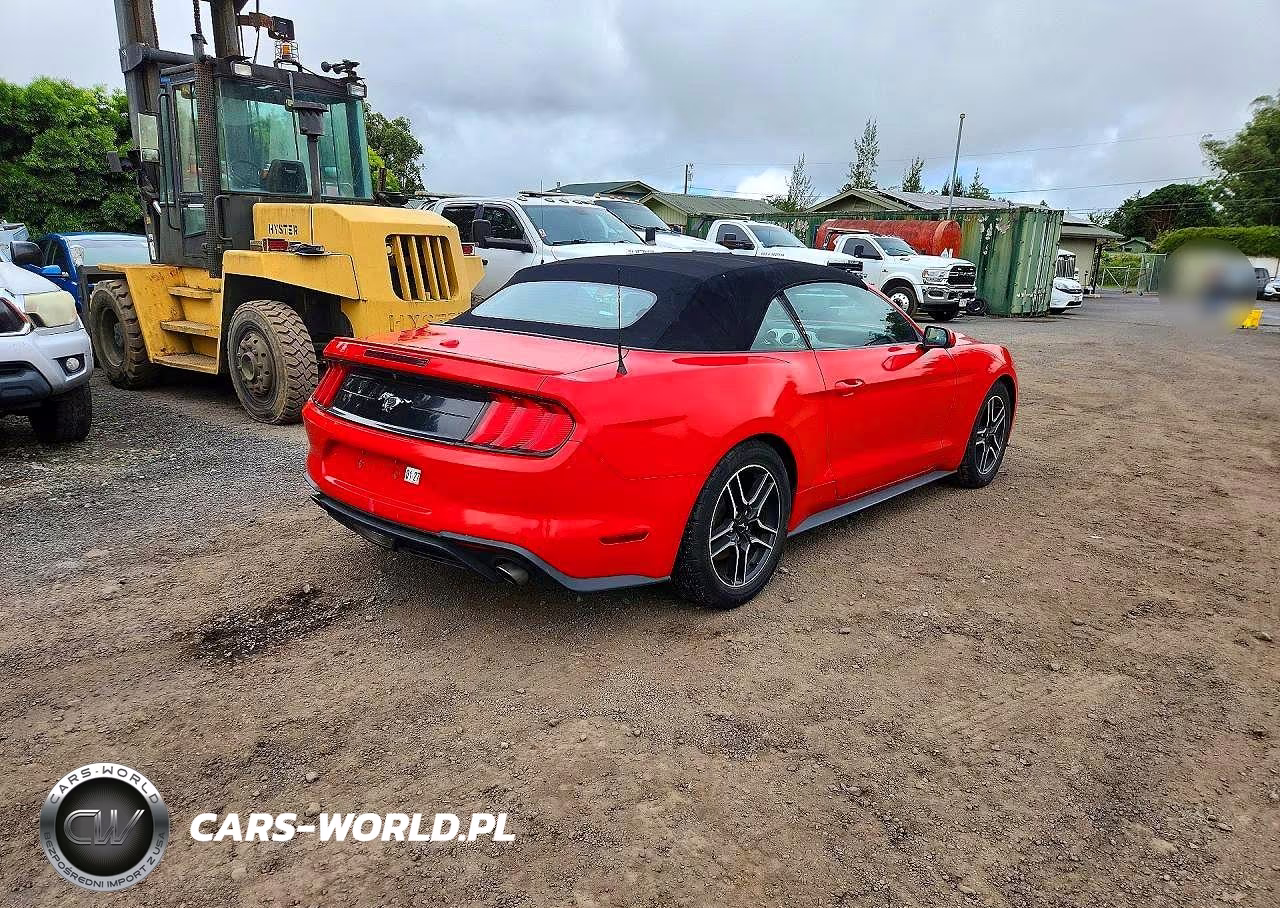 2023 Ford Mustang VIN:1FATP8UH7P5102440 - 3