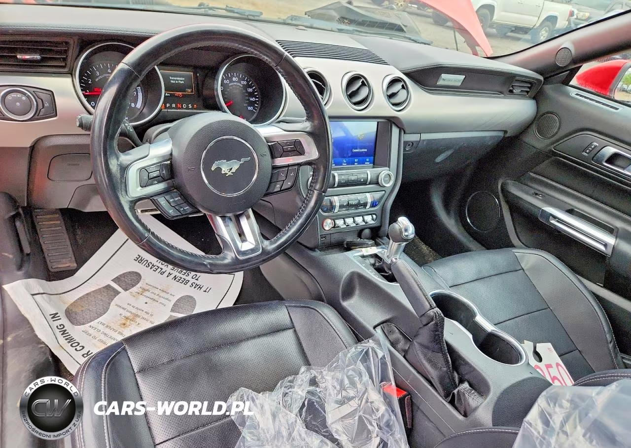 2023 Ford Mustang VIN:1FATP8UH7P5102440 - 8