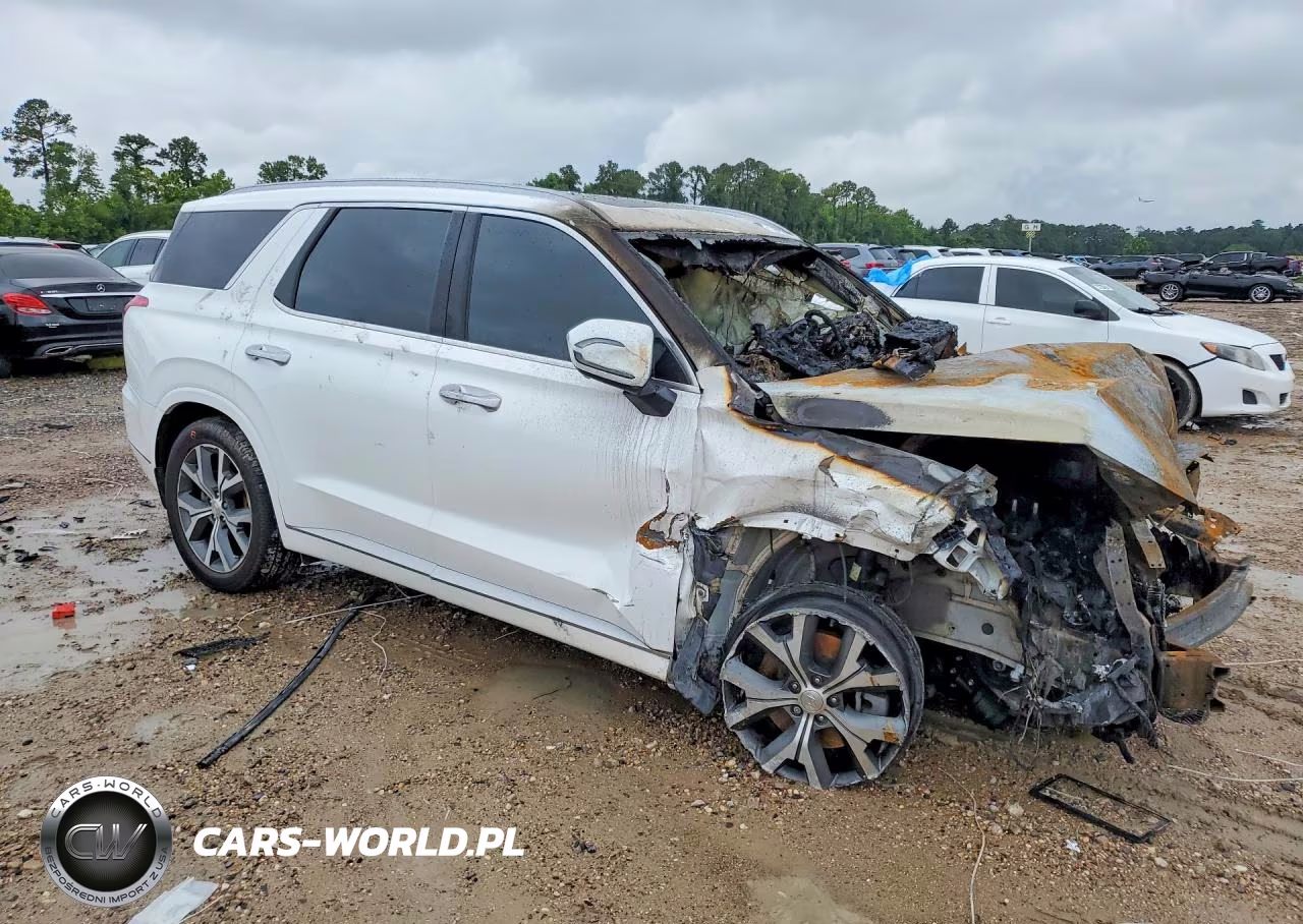 2022 Hyundai Palisade Limited VIN:KM8R5DHEXNU471228 - 4