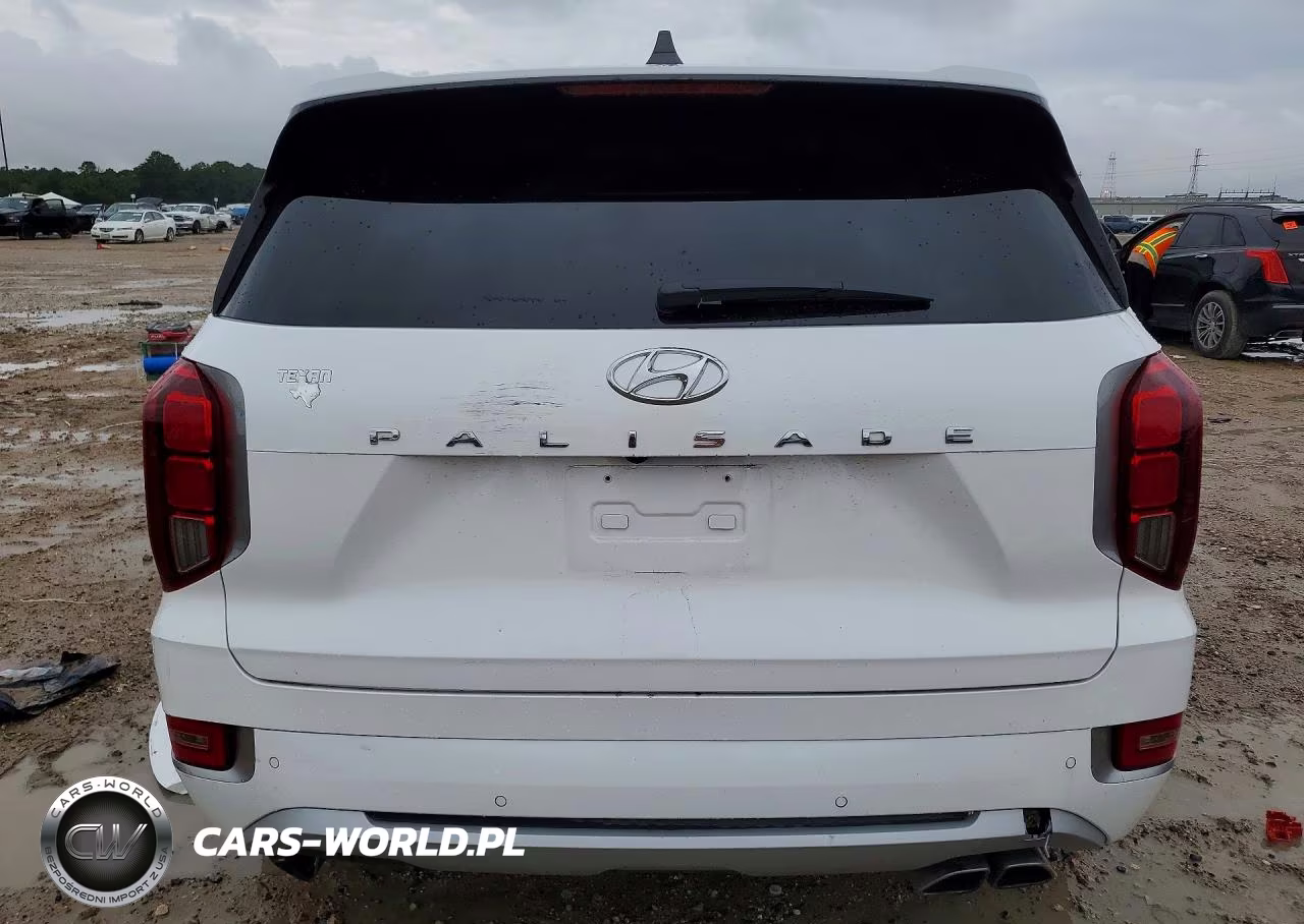 2022 Hyundai Palisade Limited VIN:KM8R5DHEXNU471228 - 6