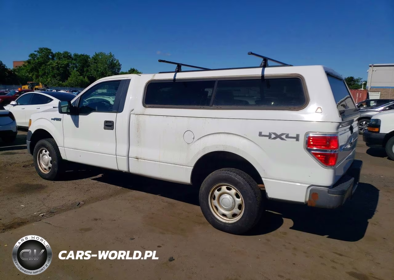 2010 Ford F150 VIN:1FTMF1EW9AKE45037 - 2