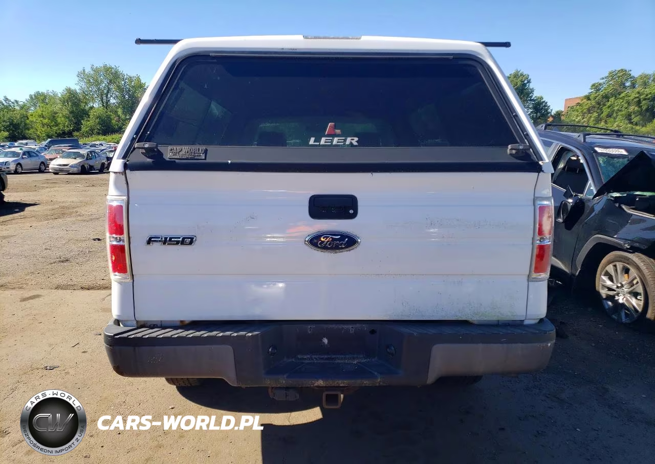 2010 Ford F150 VIN:1FTMF1EW9AKE45037 - 6