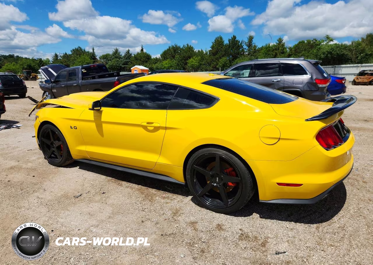 2015 Ford Mustang Gt VIN:1FA6P8CF4F5304812 - 2