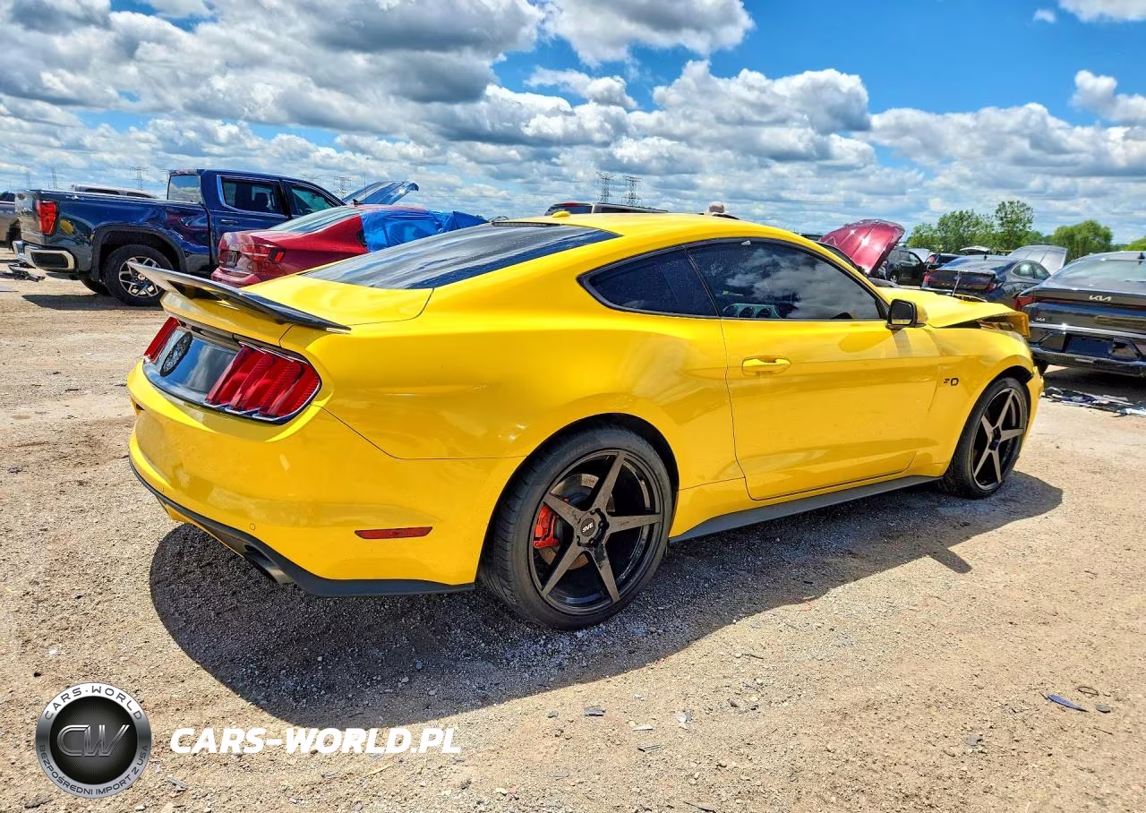 2015 Ford Mustang Gt VIN:1FA6P8CF4F5304812 - 3