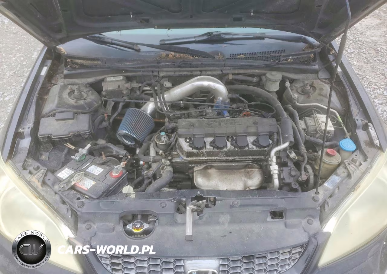 2004 Honda Civic Ex VIN:1HGEM22984L013862 - 11