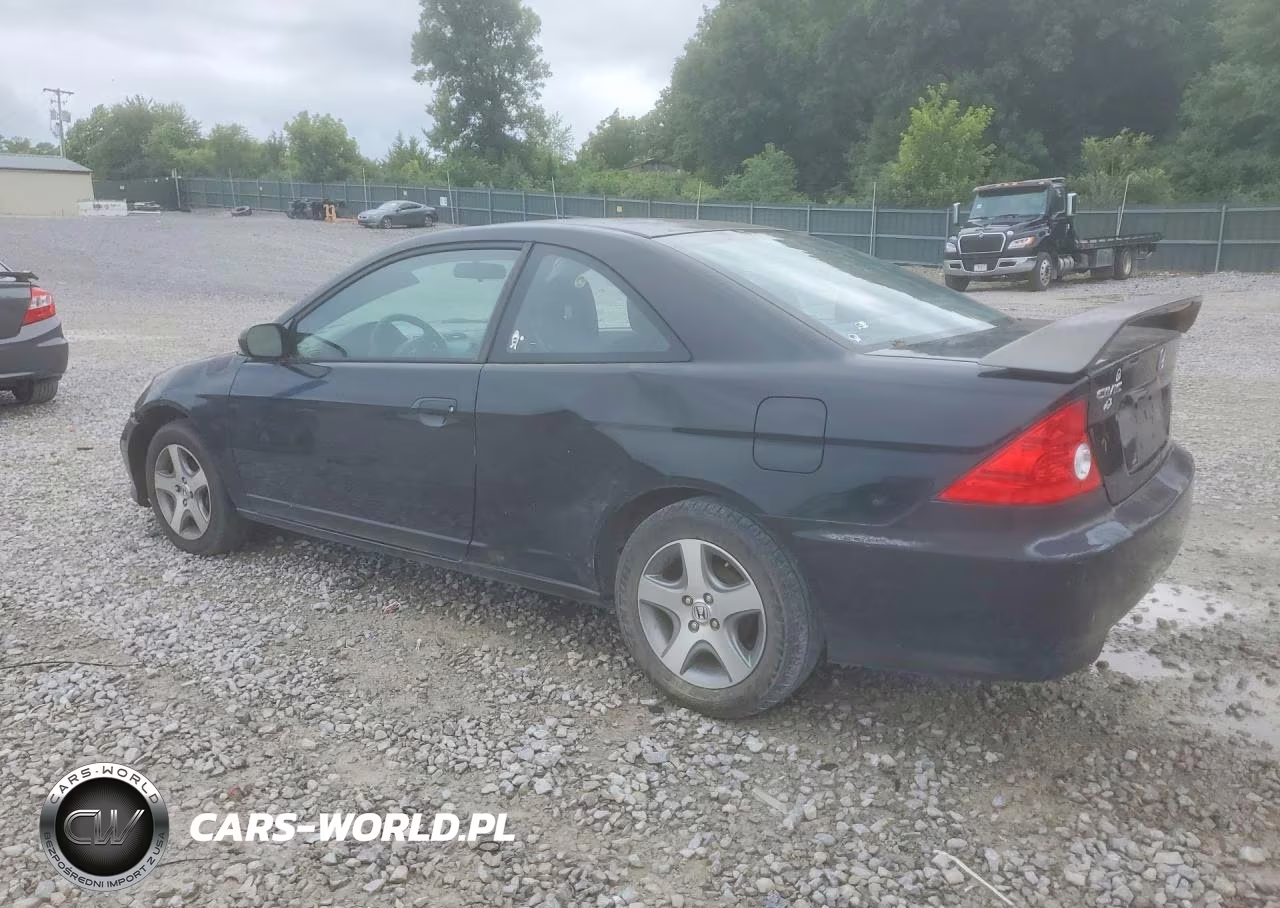 2004 Honda Civic Ex VIN:1HGEM22984L013862 - 2