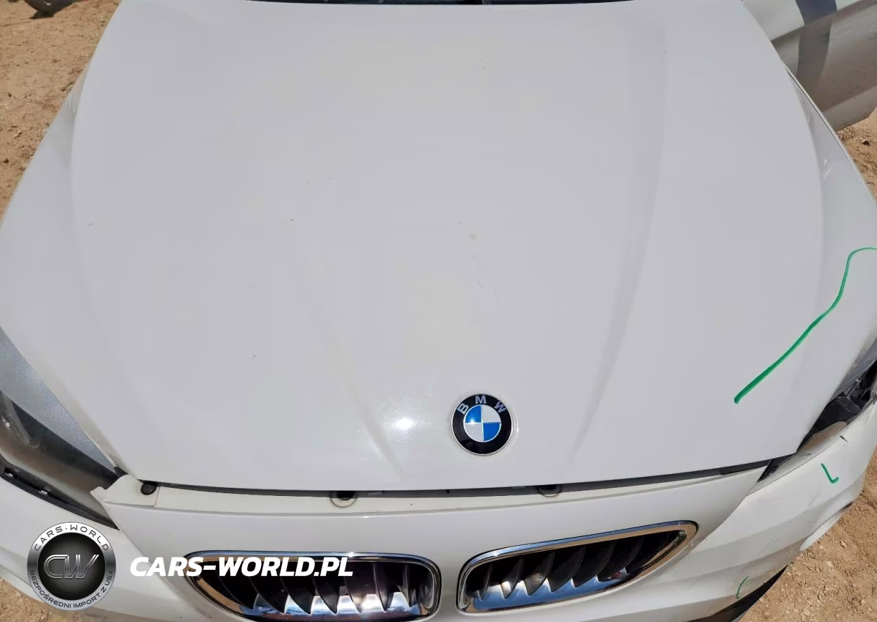 2015 BMW X1 Sdrive28I VIN:WBAVM1C52FV317570 - 11