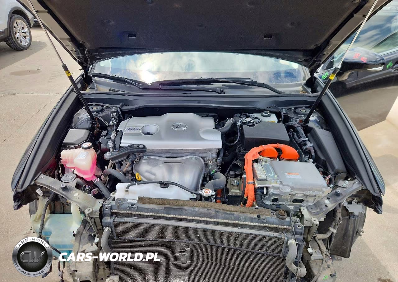 2018 Lexus Es 300H VIN:JTHBW1GG0J2191309 - 11