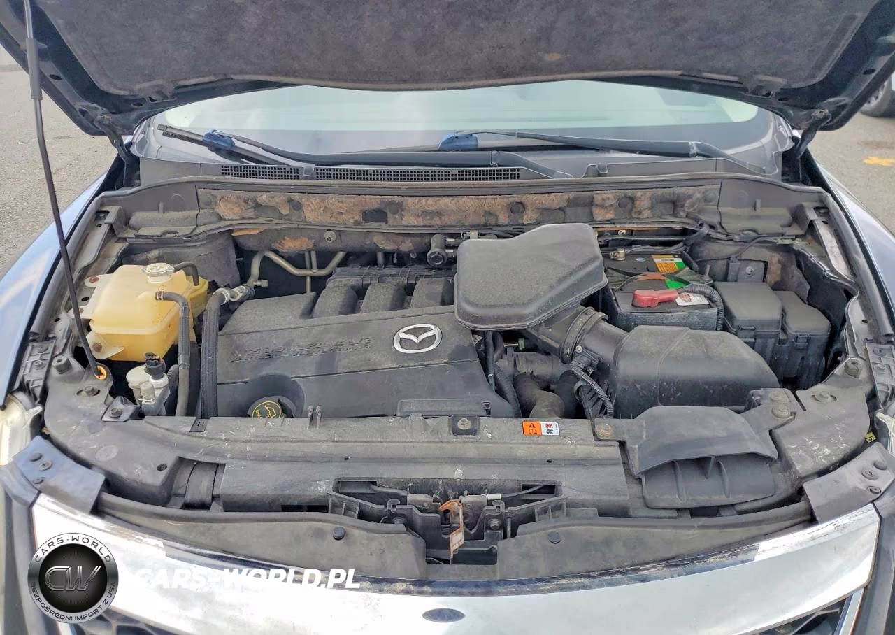 2012 Mazda Cx-9 VIN:JM3TB2DA3C0365256 - 12