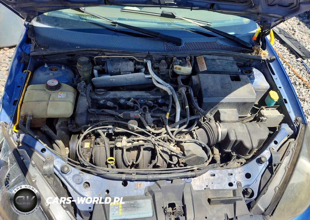 2004 Ford Focus Zts VIN:1FAFP38Z34W107837 - 11