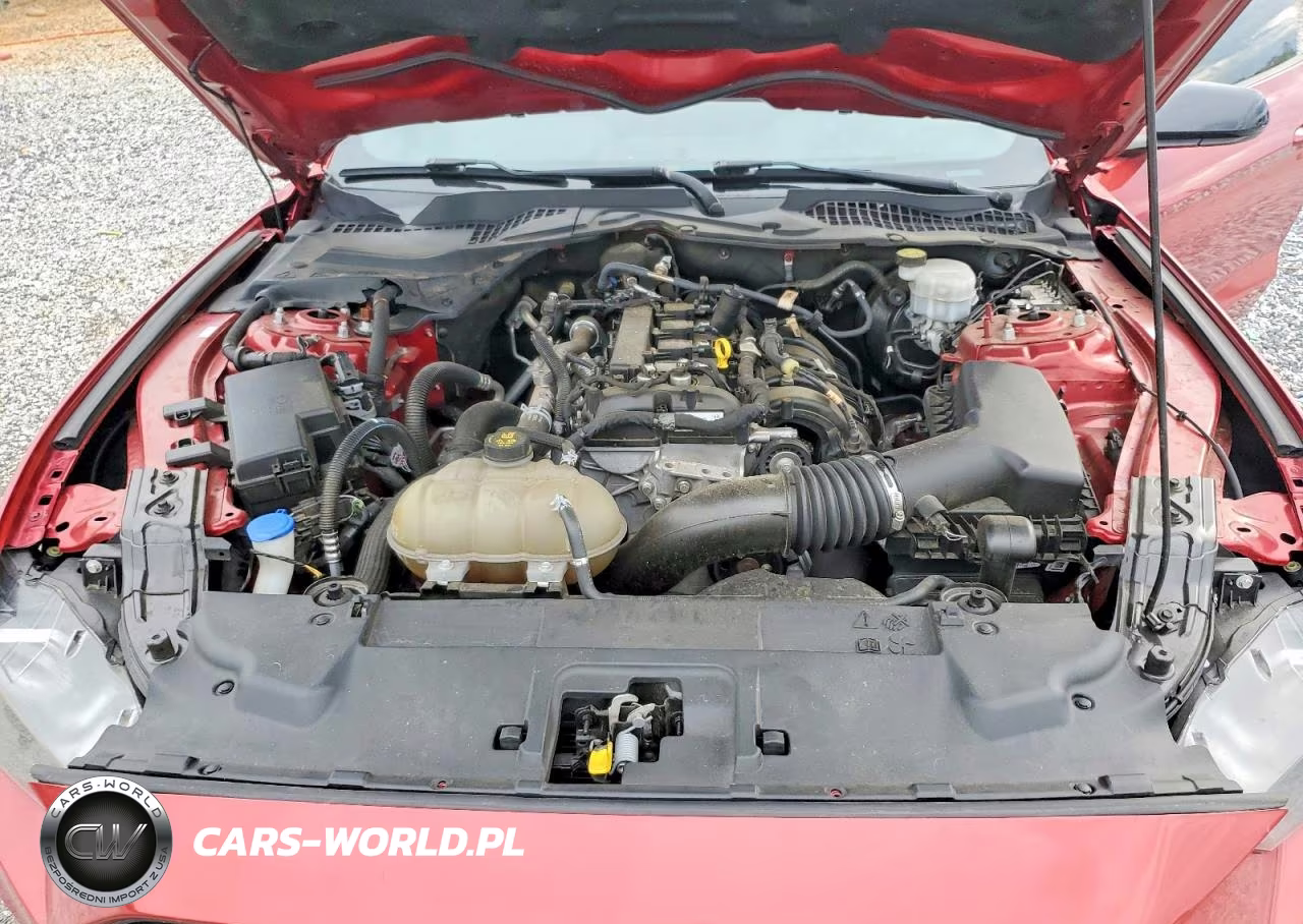 2021 Ford Mustang VIN:1FA6P8THXM5111496 - 11