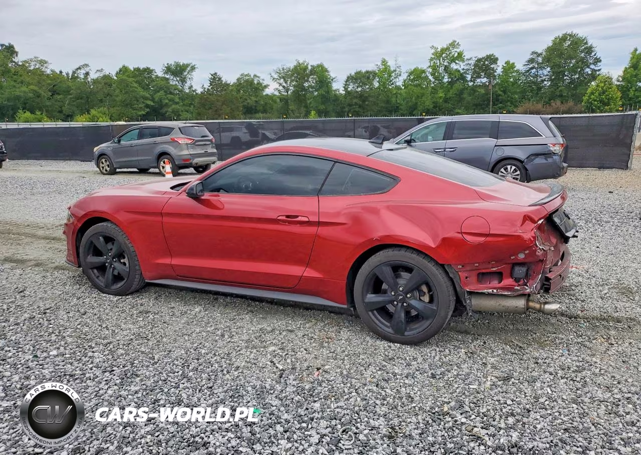 2021 Ford Mustang VIN:1FA6P8THXM5111496 - 2