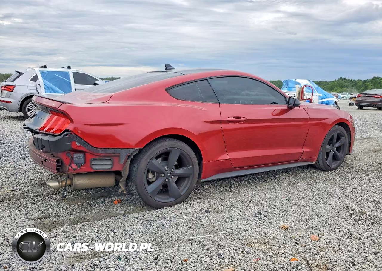 2021 Ford Mustang VIN:1FA6P8THXM5111496 - 3