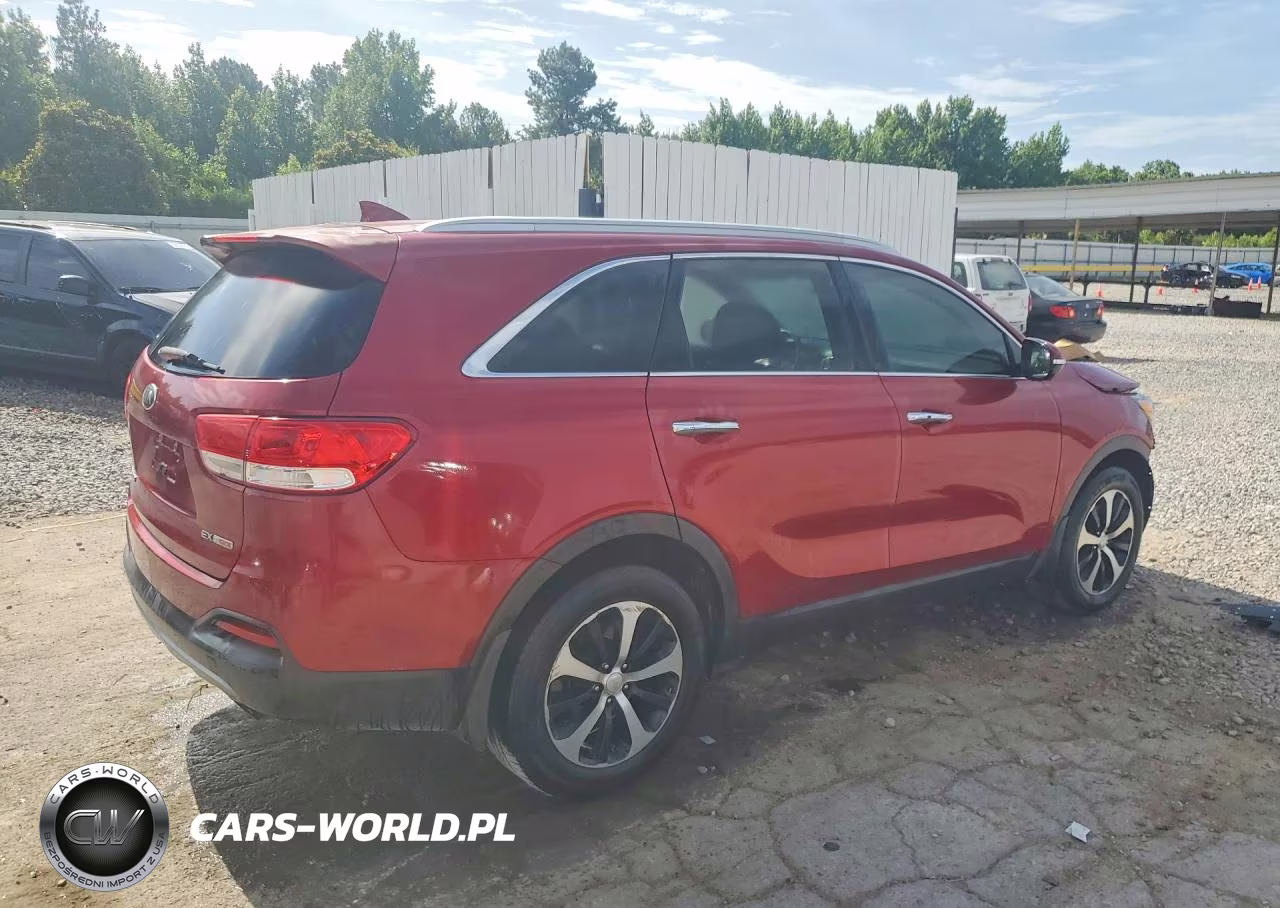 2016 Kia Sorento Ex VIN:5XYPH4A1XGG124061 - 3