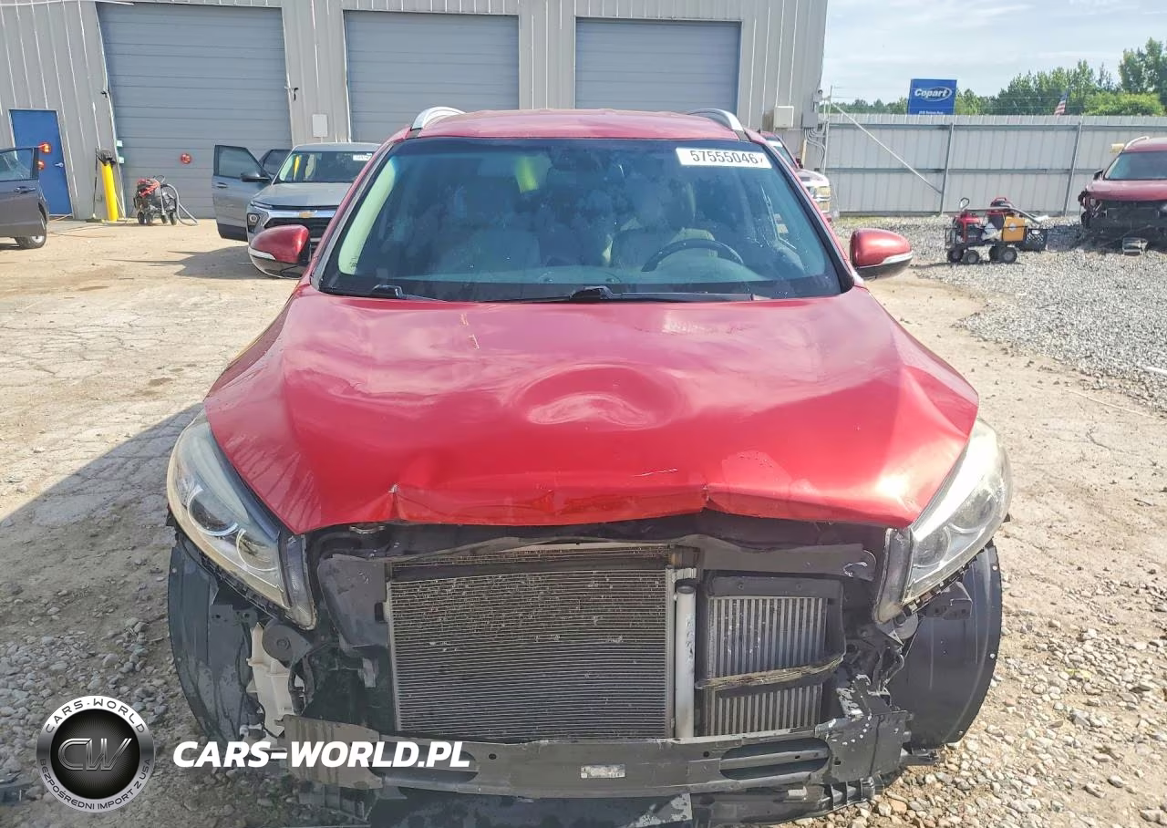 2016 Kia Sorento Ex VIN:5XYPH4A1XGG124061 - 5