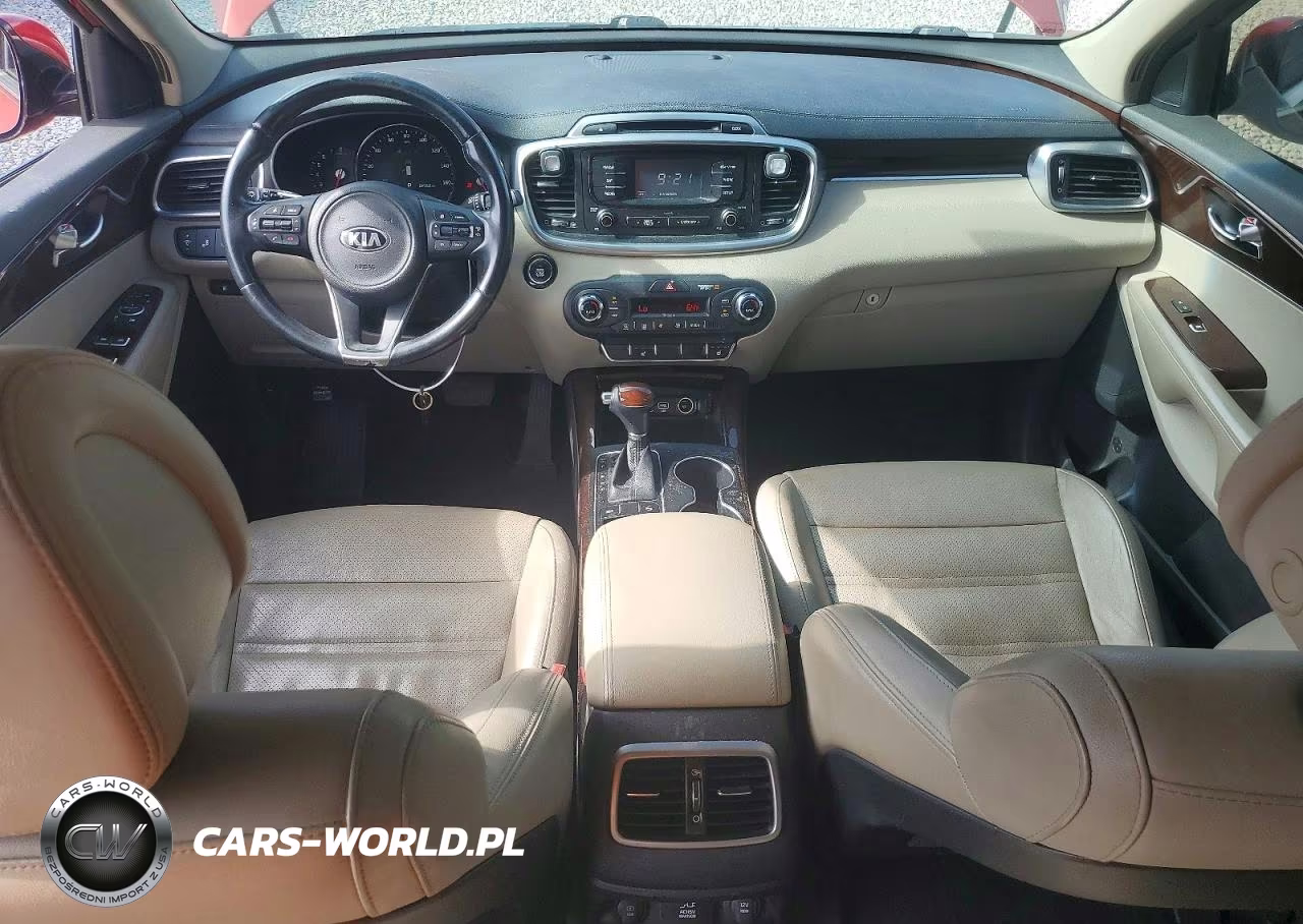 2016 Kia Sorento Ex VIN:5XYPH4A1XGG124061 - 8