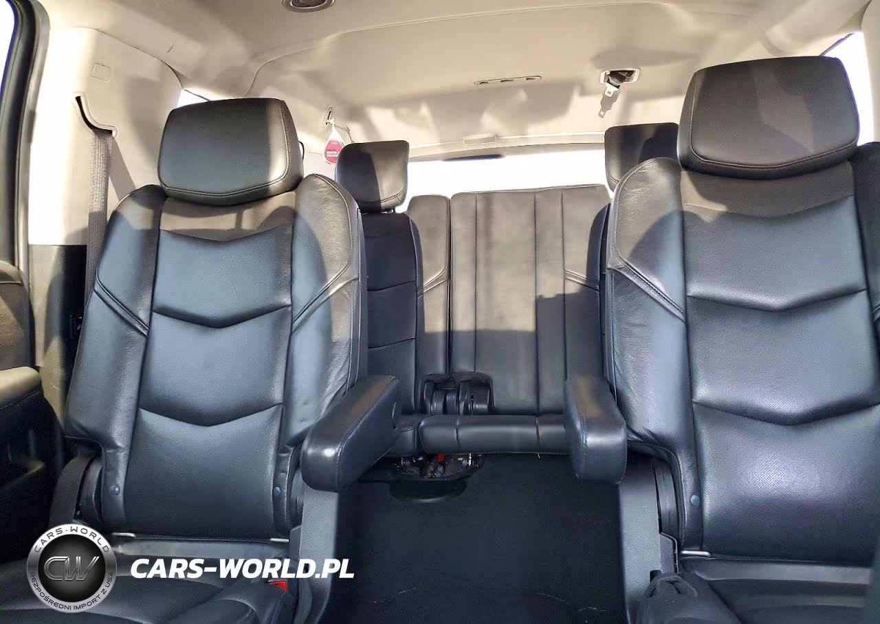 2020 Cadillac Escalade Esv Luxury VIN:1GYS4HKJ8LR184972 - 10