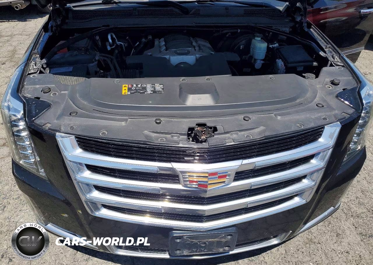 2020 Cadillac Escalade Esv Luxury VIN:1GYS4HKJ8LR184972 - 12