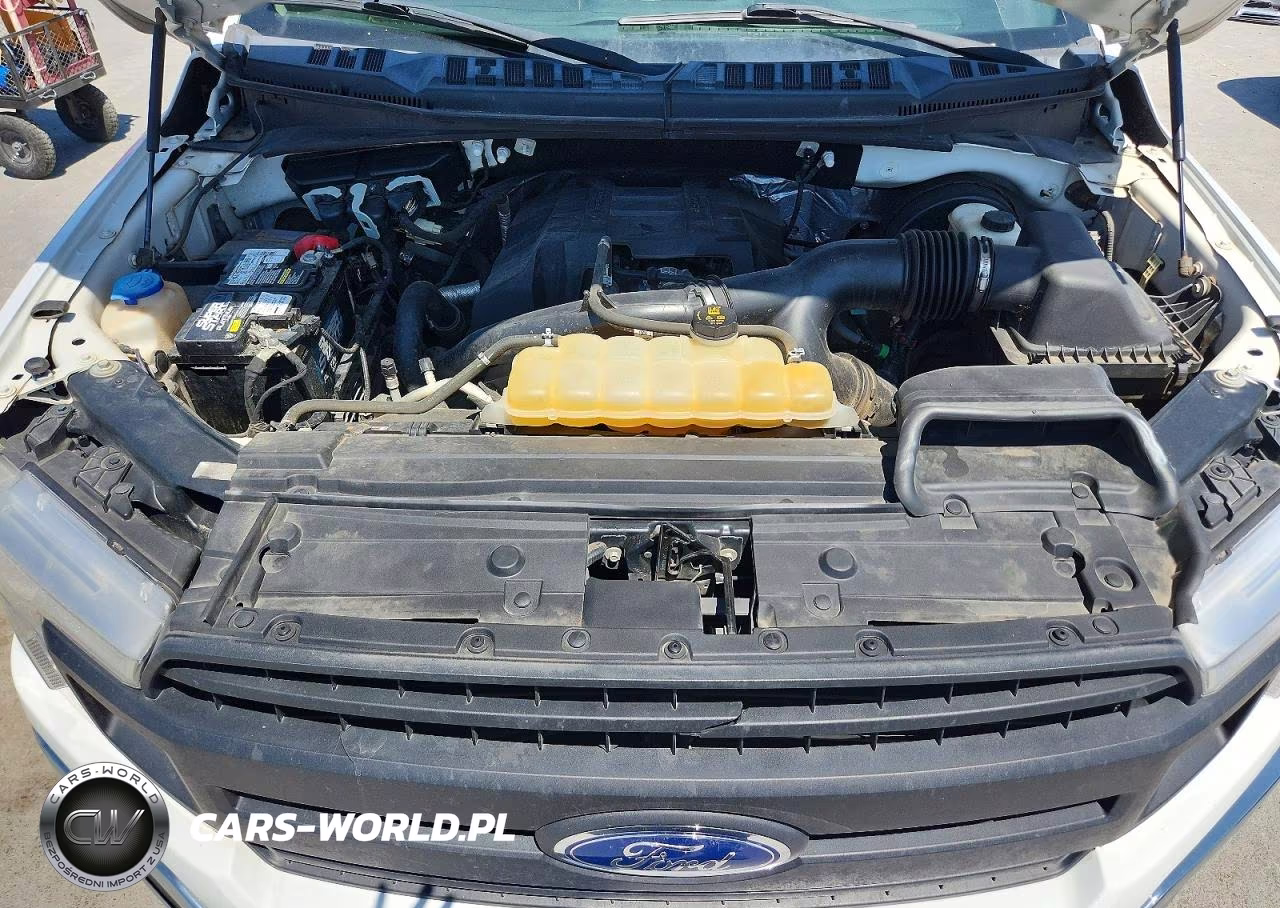 2018 Ford F150 Supercrew VIN:1FTEW1CP9JKC22142 - 11