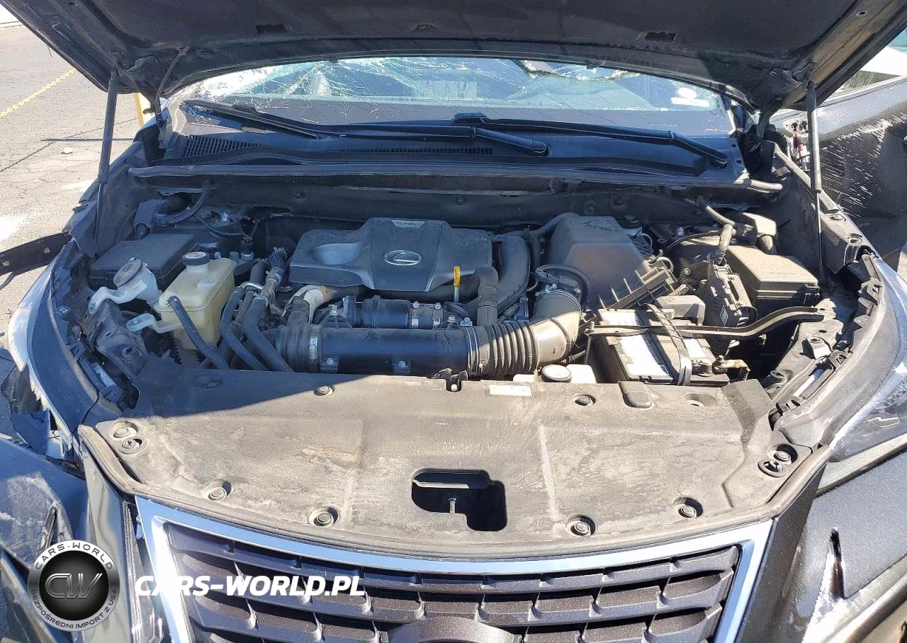 2019 Lexus Nx300 VIN:JTJYARBZ0K2142336 - 12