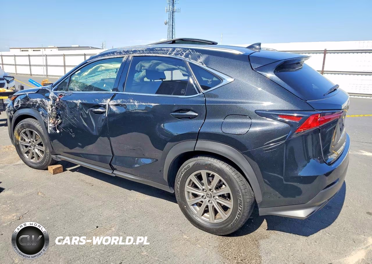 2019 Lexus Nx300 VIN:JTJYARBZ0K2142336 - 2