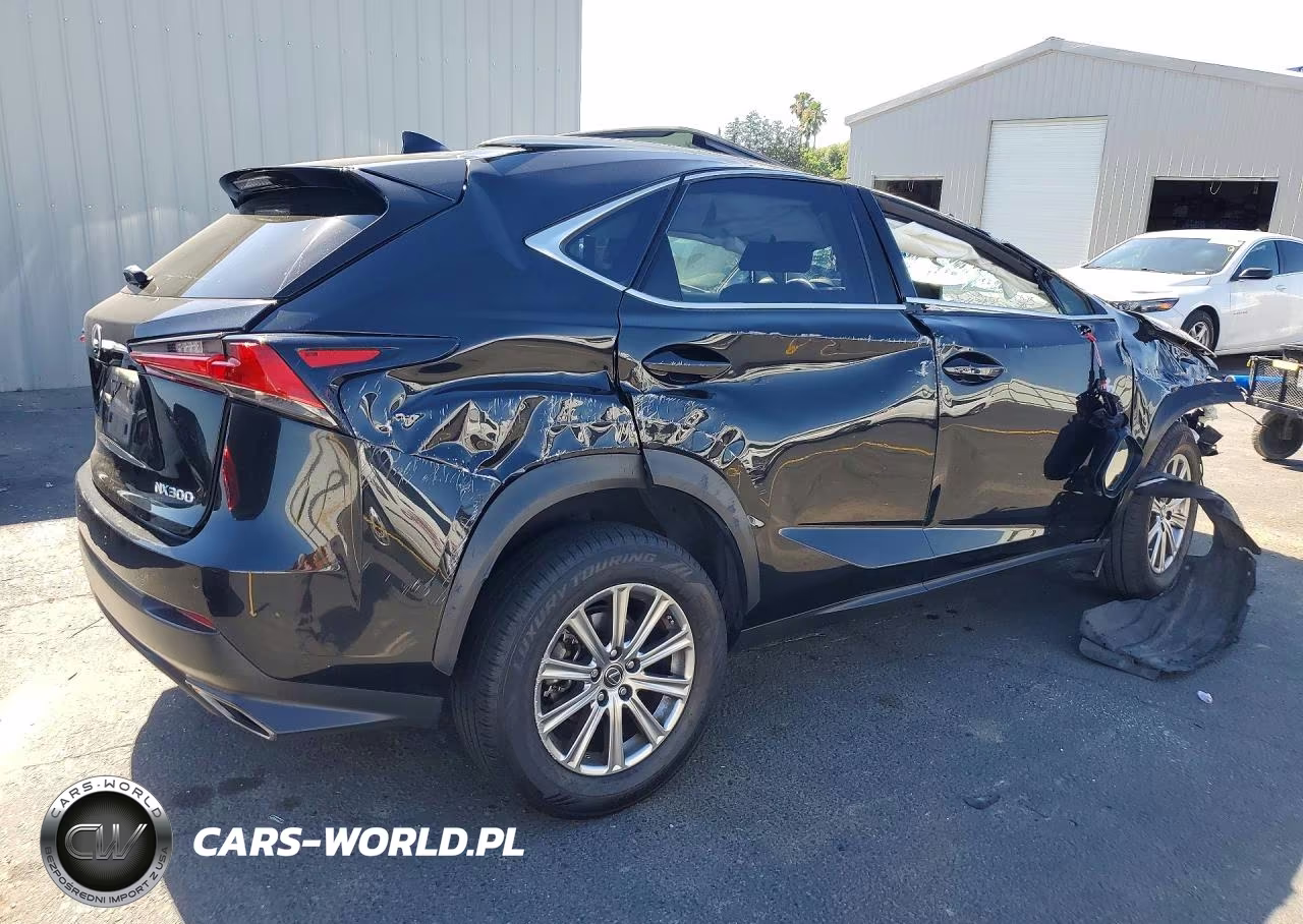 2019 Lexus Nx300 VIN:JTJYARBZ0K2142336 - 3