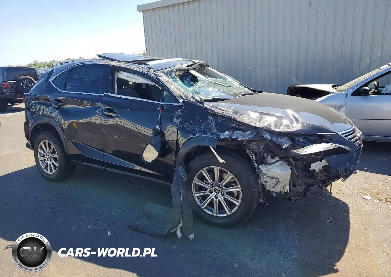 2019 Lexus Nx300 VIN:JTJYARBZ0K2142336 - 4