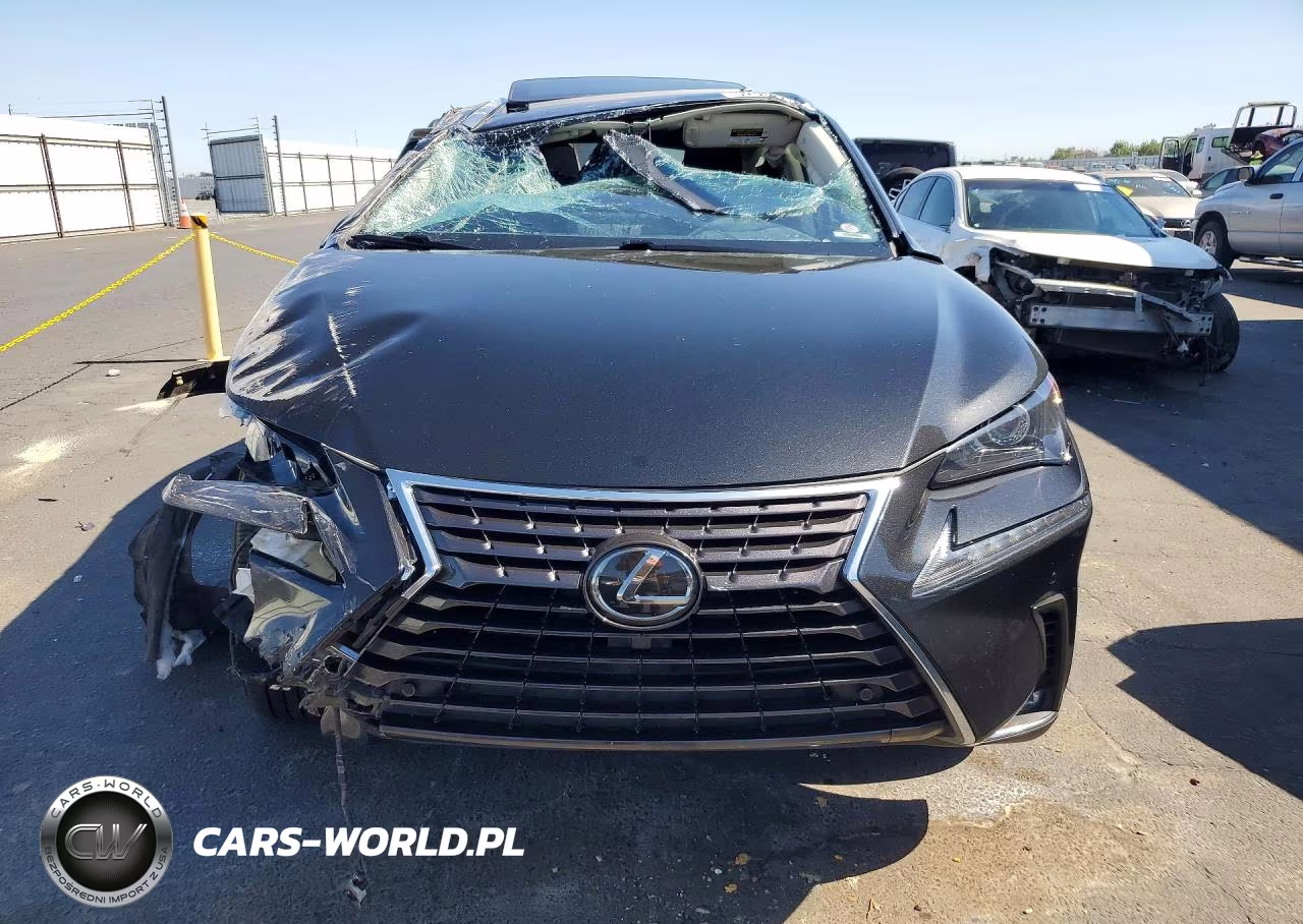 2019 Lexus Nx300 VIN:JTJYARBZ0K2142336 - 5