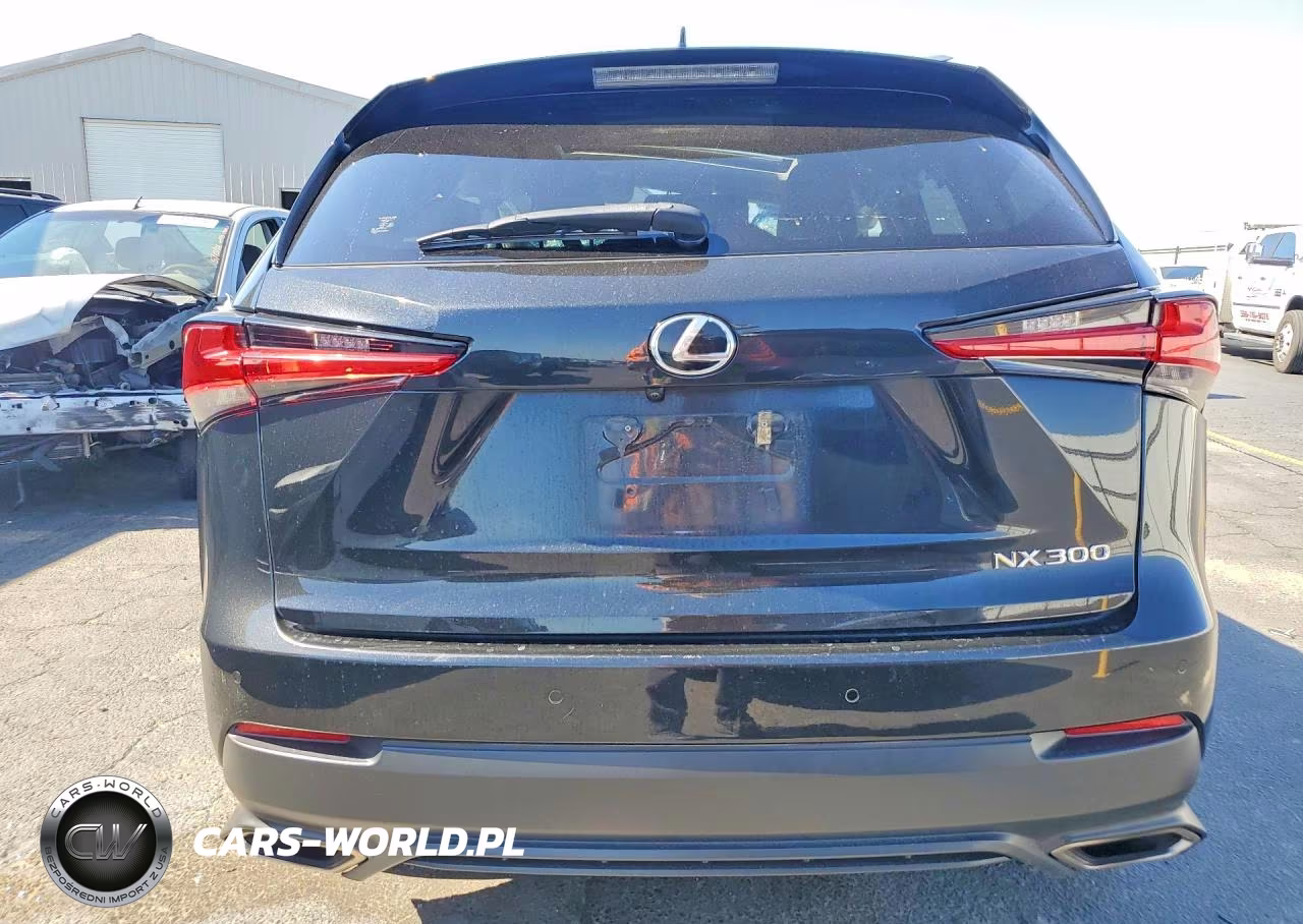 2019 Lexus Nx300 VIN:JTJYARBZ0K2142336 - 6