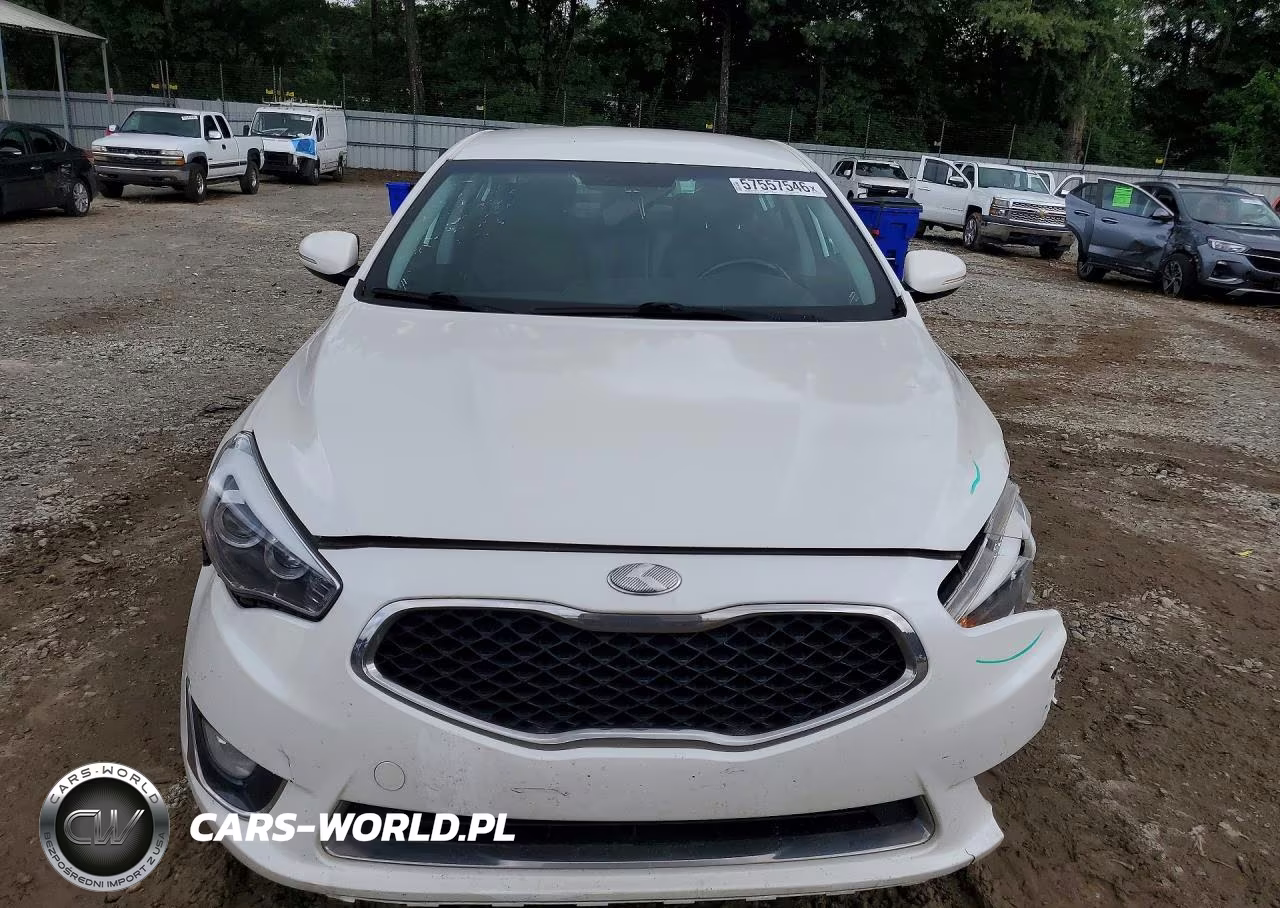 2015 Kia Cadenza Premium VIN:KNALN4D76F5168358 - 5