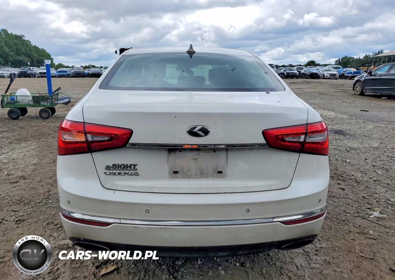 2015 Kia Cadenza Premium VIN:KNALN4D76F5168358 - 6