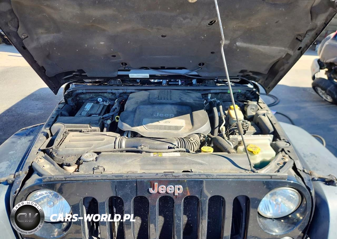 2016 Jeep Wrangler Unlimited Rubicon VIN:1C4BJWFG0GL119446 - 12