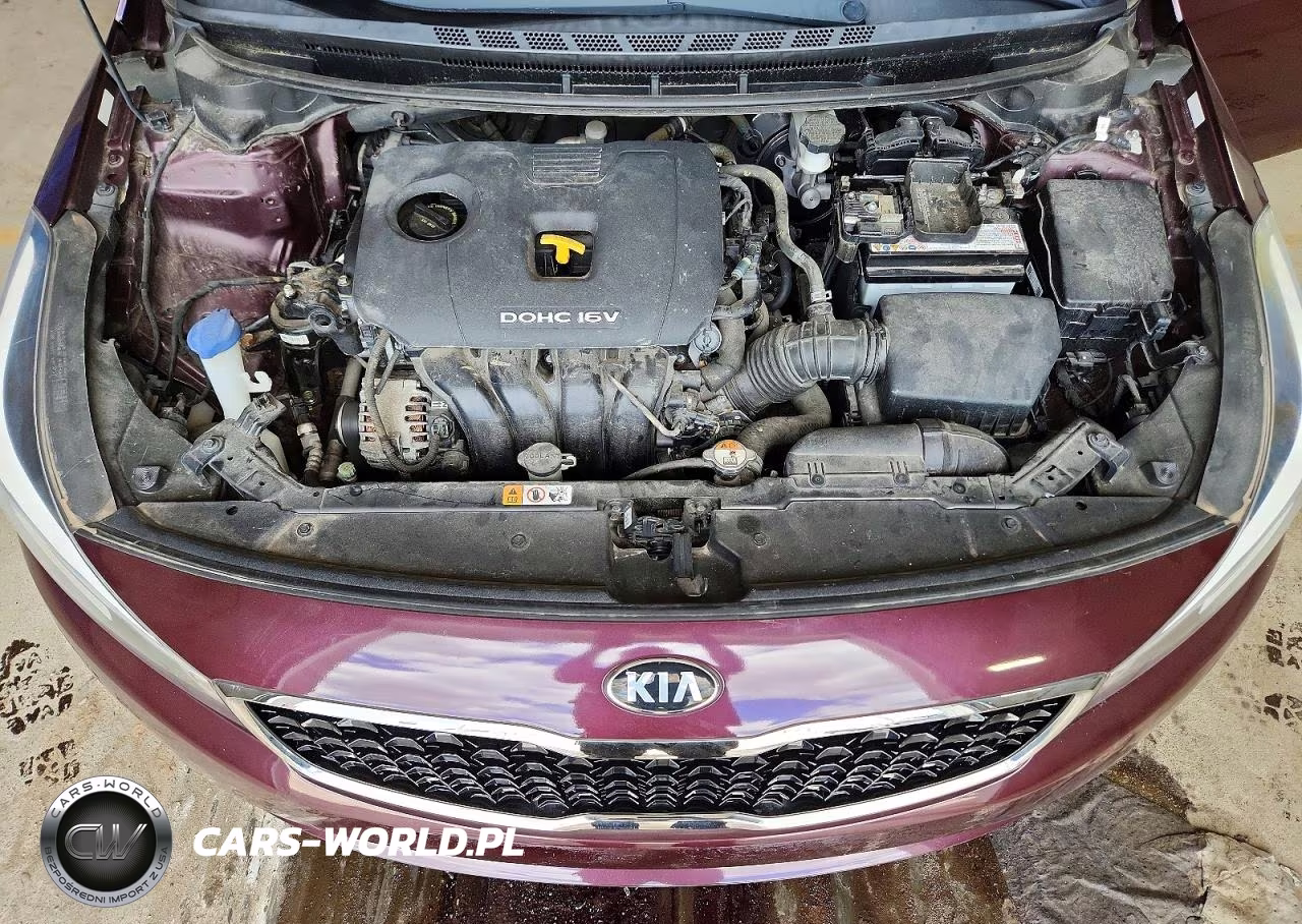 2017 Kia Forte VIN:3KPFK4A73HE118070 - 11