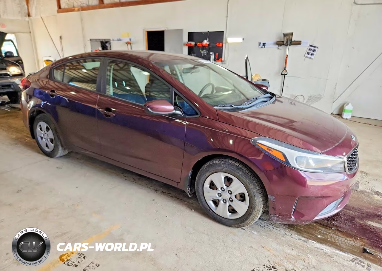 2017 Kia Forte VIN:3KPFK4A73HE118070 - 4