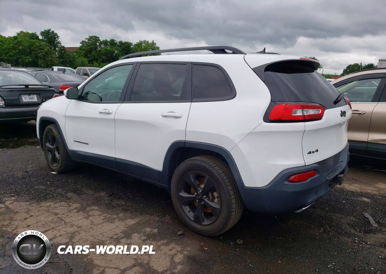 2016 Jeep Cherokee Limited VIN:1C4PJMDS3GW317194 - 2