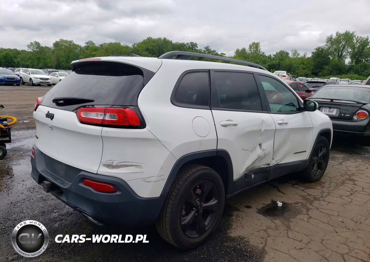 2016 Jeep Cherokee Limited VIN:1C4PJMDS3GW317194 - 3