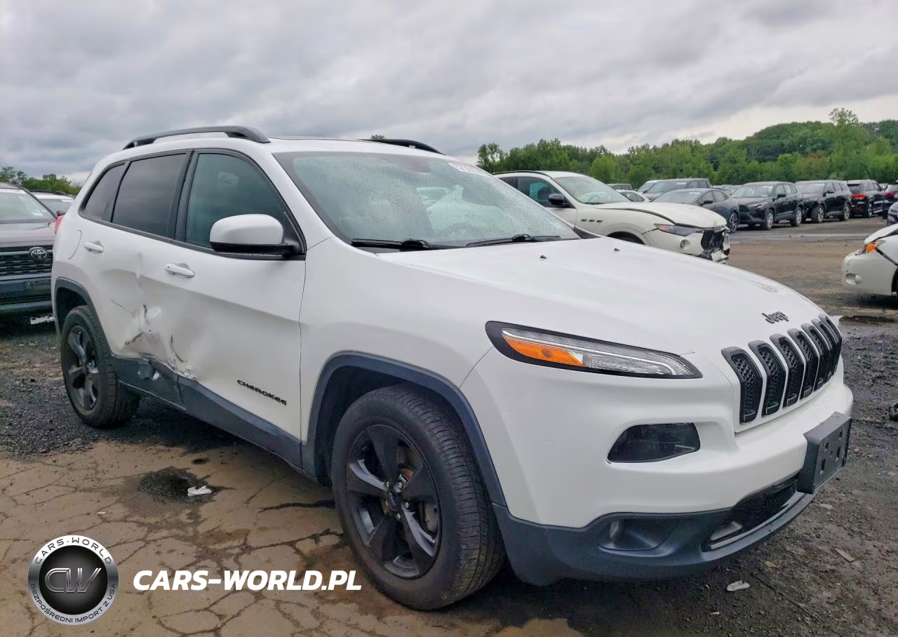 2016 Jeep Cherokee Limited VIN:1C4PJMDS3GW317194 - 4