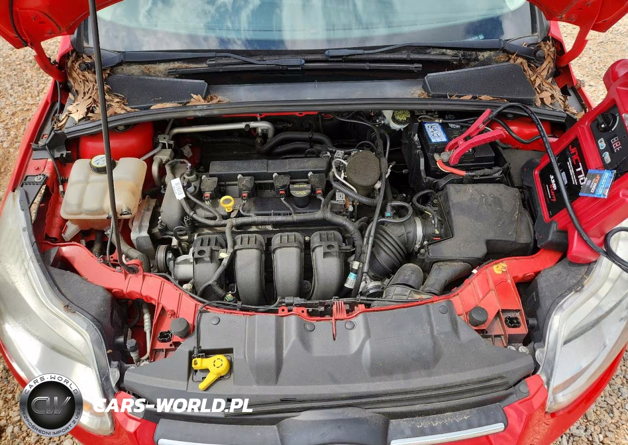2013 Ford Focus Se VIN:1FADP3F29DL161285 - 11