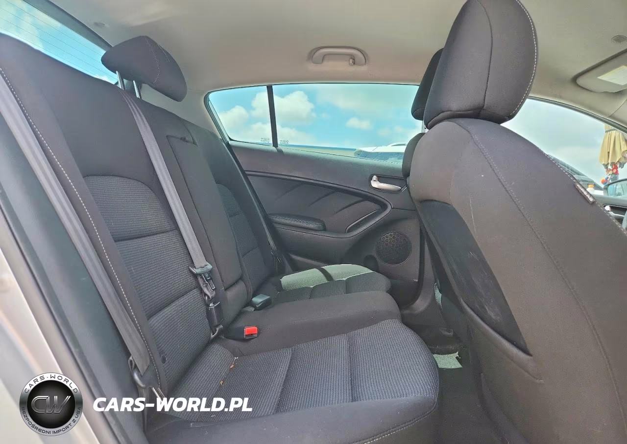 2017 Kia Forte Lx VIN:KNAFK5A89H5668736 - 10