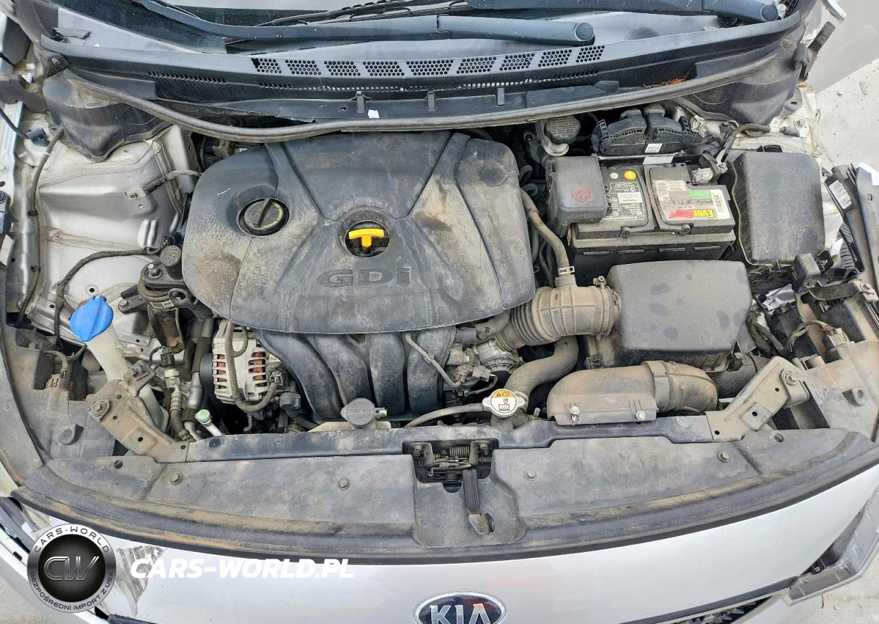 2017 Kia Forte Lx VIN:KNAFK5A89H5668736 - 11