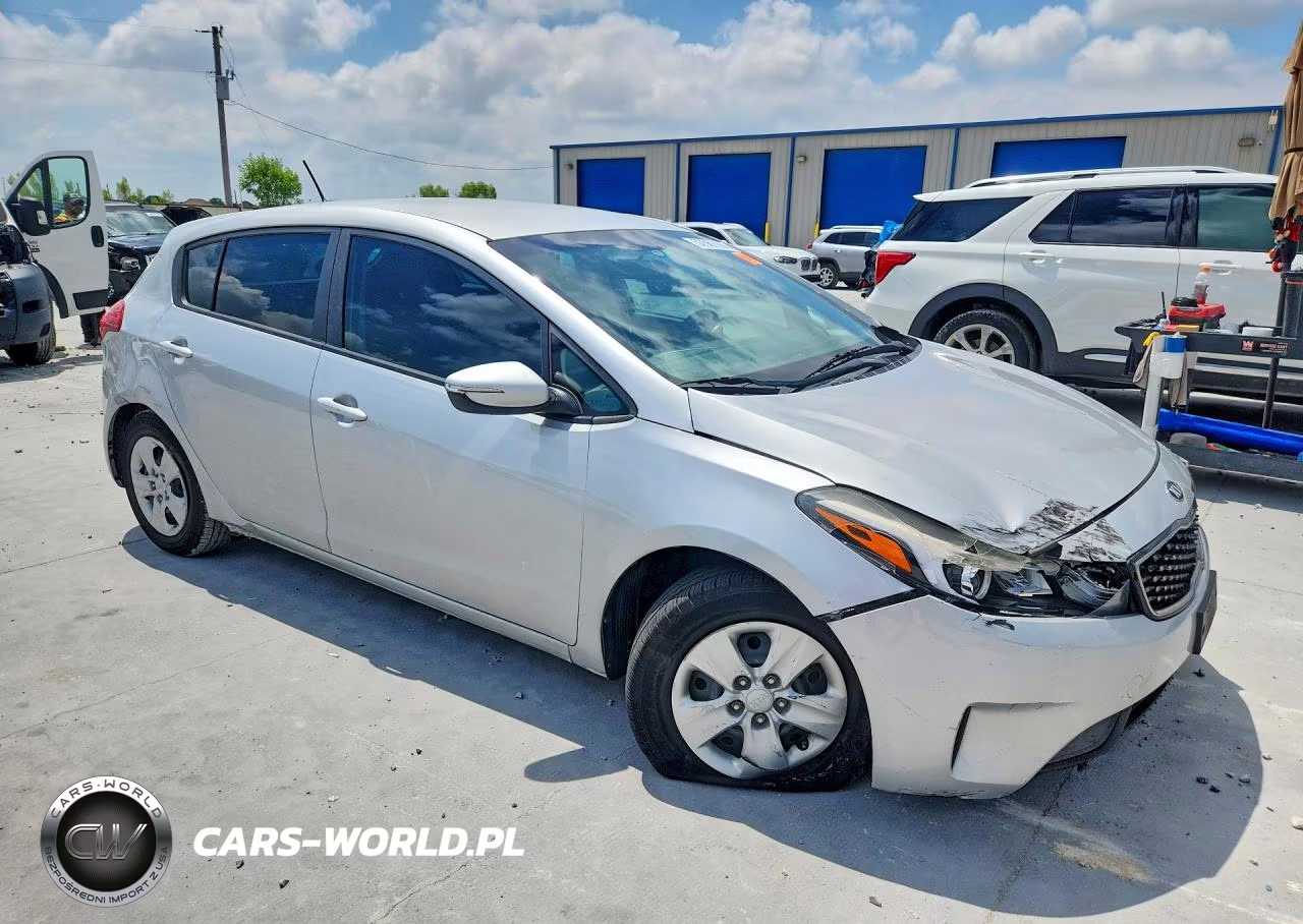 2017 Kia Forte Lx VIN:KNAFK5A89H5668736 - 4